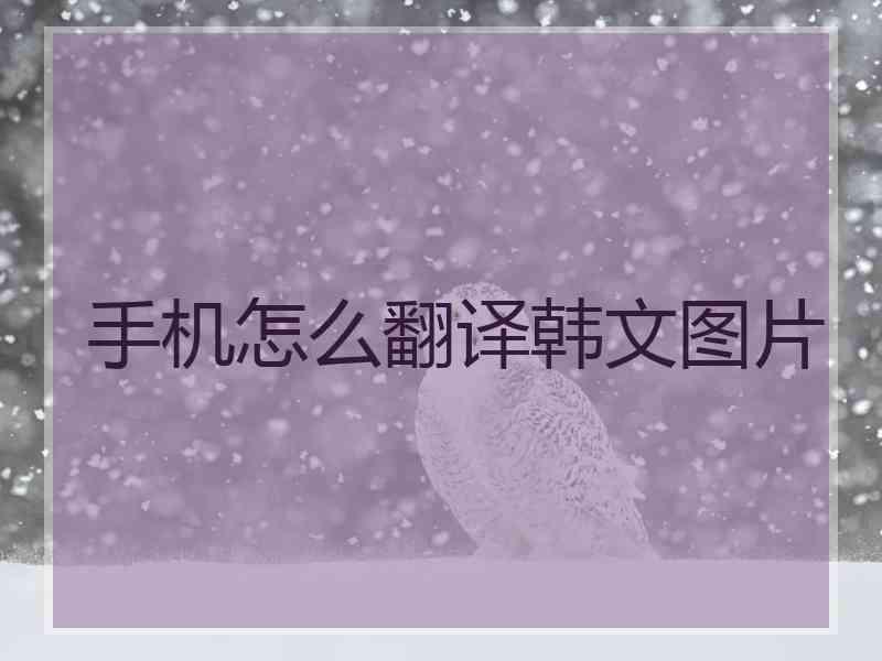 手机怎么翻译韩文图片