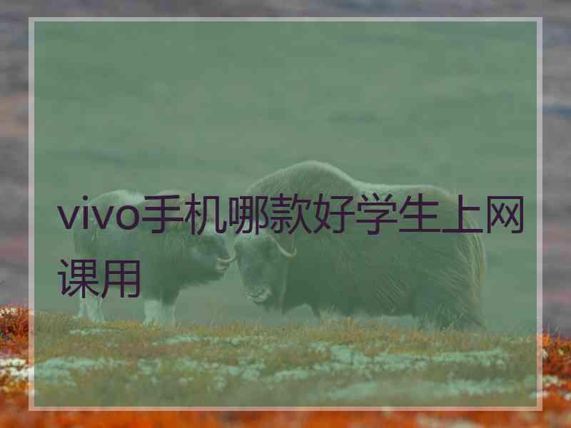 vivo手机哪款好学生上网课用