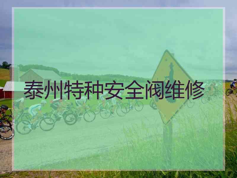 泰州特种安全阀维修