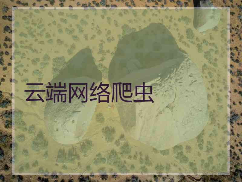 云端网络爬虫