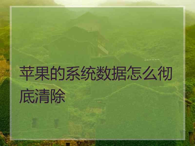 苹果的系统数据怎么彻底清除
