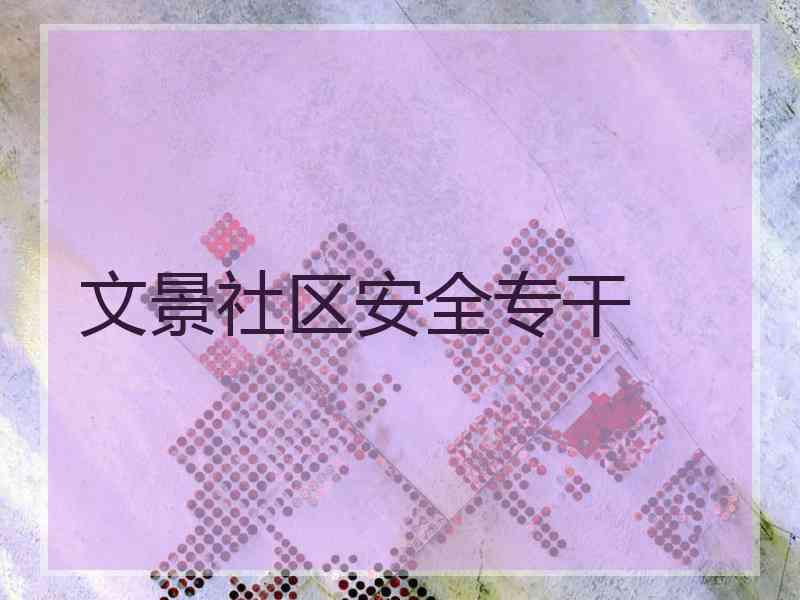文景社区安全专干