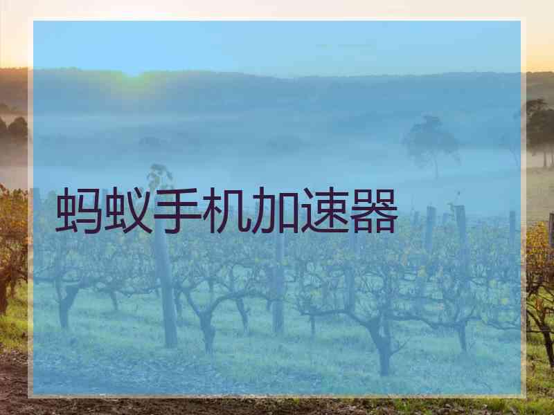 蚂蚁手机加速器