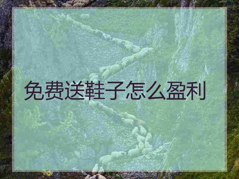 免费送鞋子怎么盈利