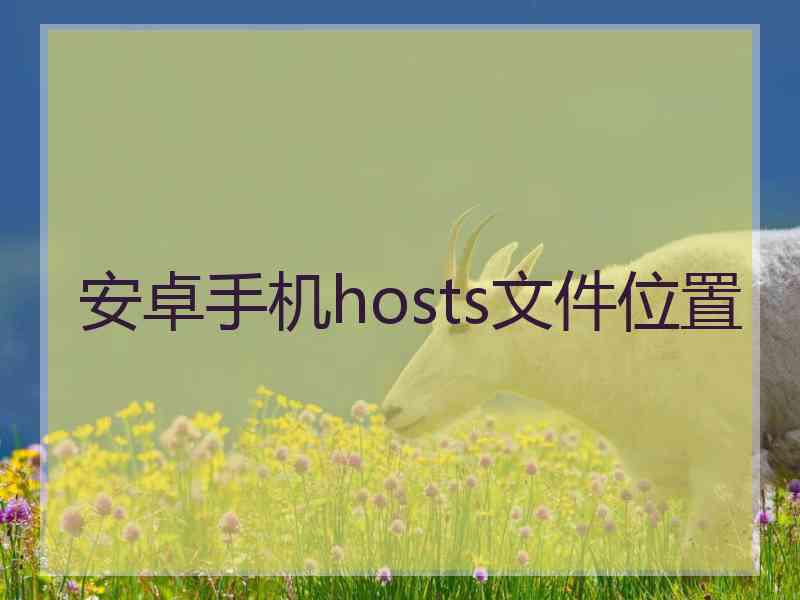 安卓手机hosts文件位置