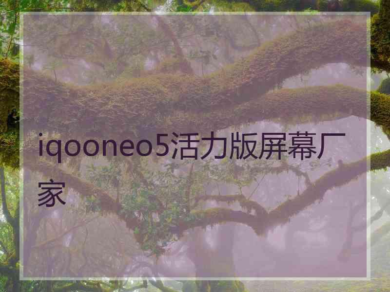 iqooneo5活力版屏幕厂家