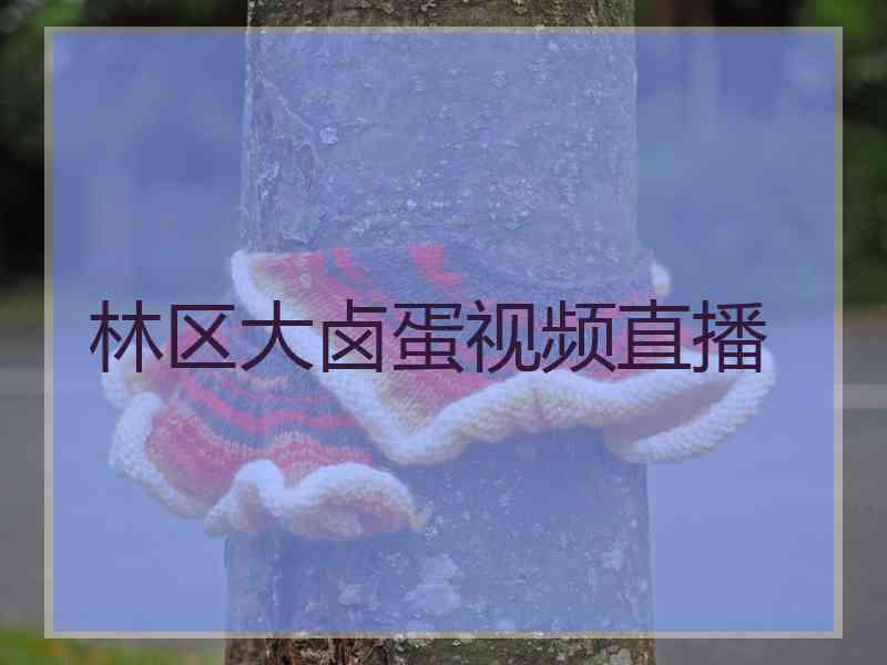 林区大卤蛋视频直播
