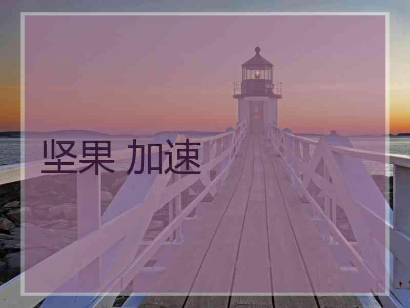 坚果 加速