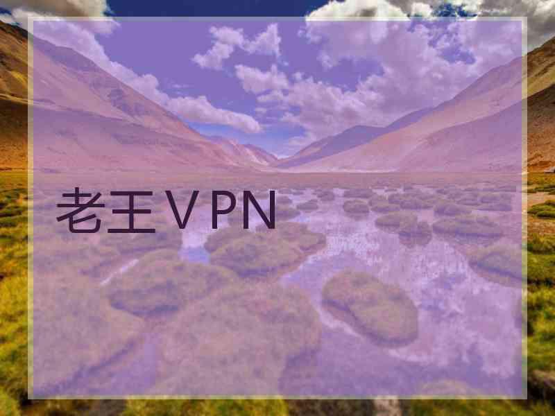 老王ⅤPN