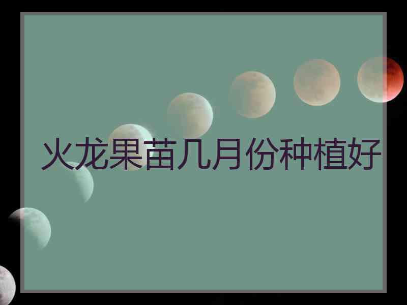 火龙果苗几月份种植好