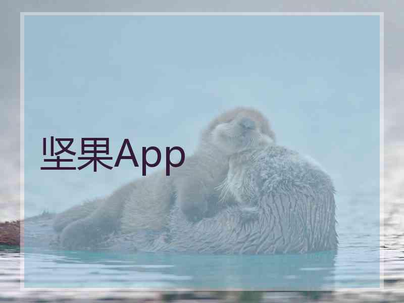 坚果App