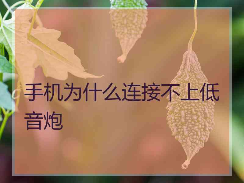 手机为什么连接不上低音炮