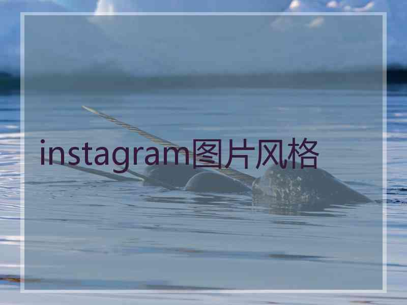 instagram图片风格