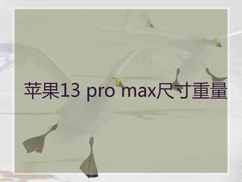 苹果13 pro max尺寸重量
