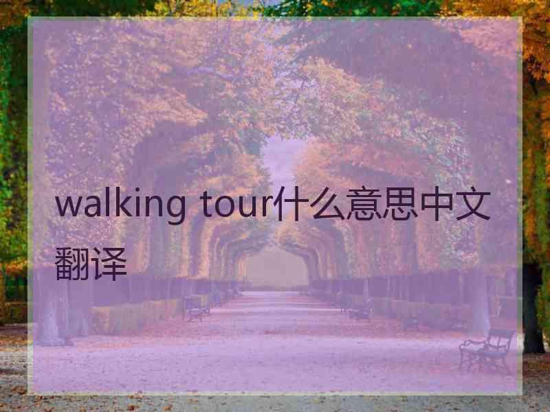 walking tour什么意思中文翻译
