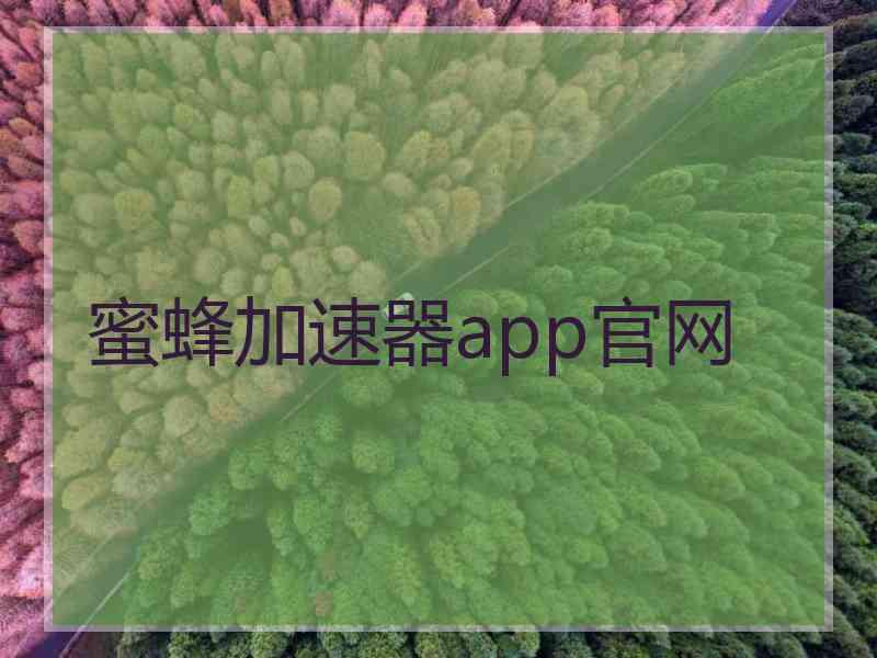 蜜蜂加速器app官网