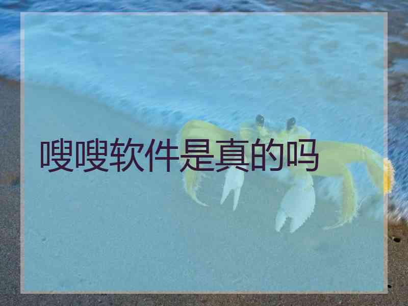 嗖嗖软件是真的吗