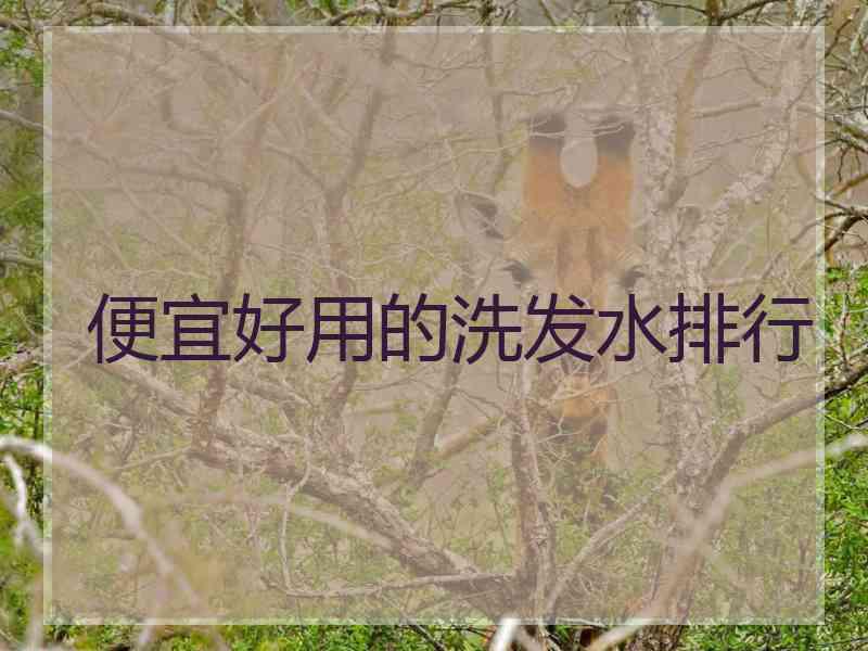 便宜好用的洗发水排行