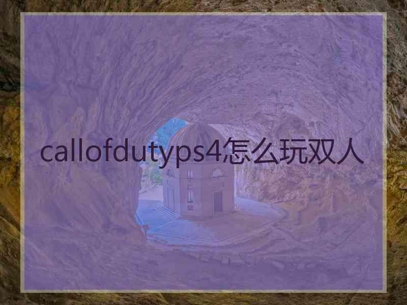 callofdutyps4怎么玩双人