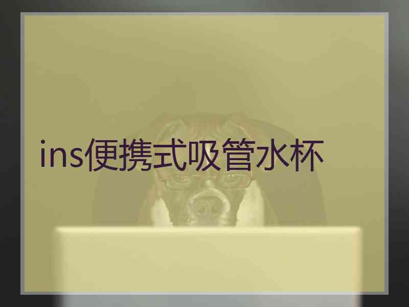 ins便携式吸管水杯