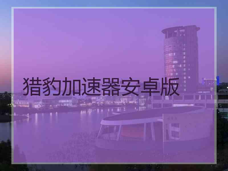猎豹加速器安卓版