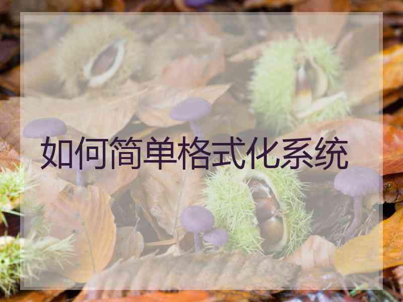 如何简单格式化系统