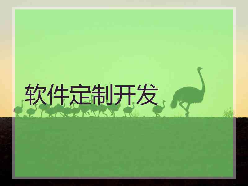 软件定制开发