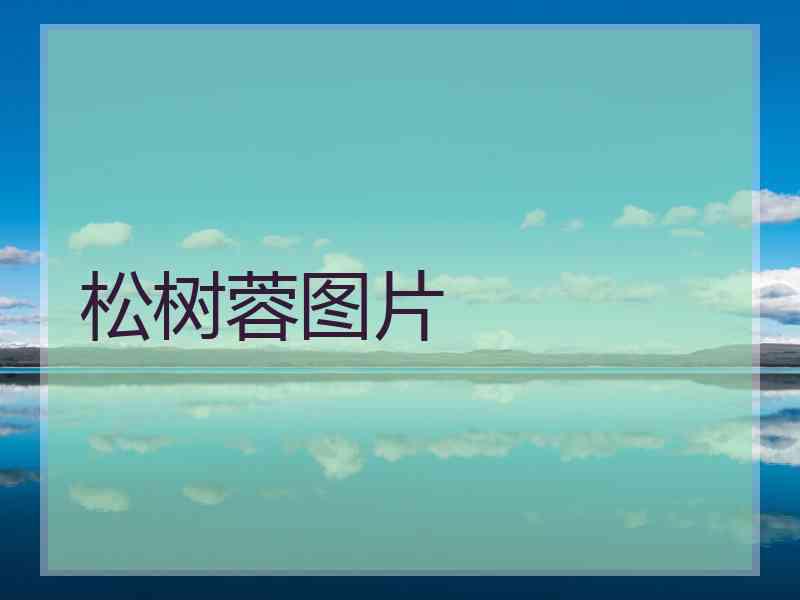 松树蓉图片