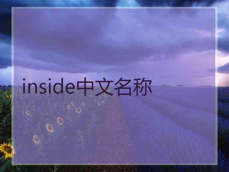 inside中文名称