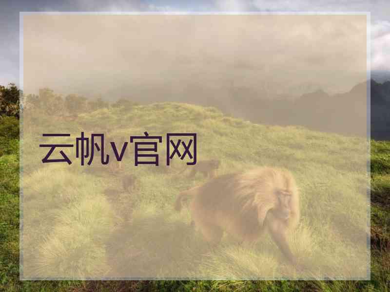 云帆v官网