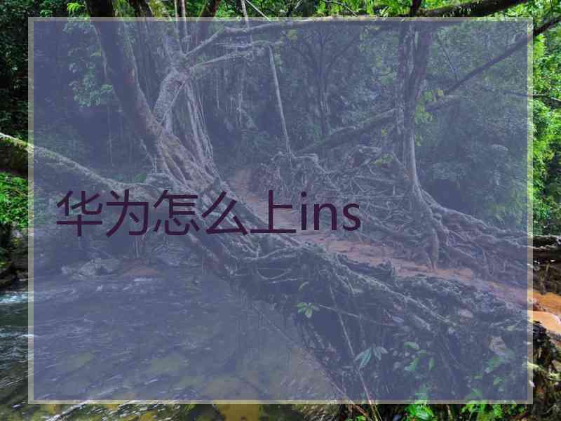华为怎么上ins
