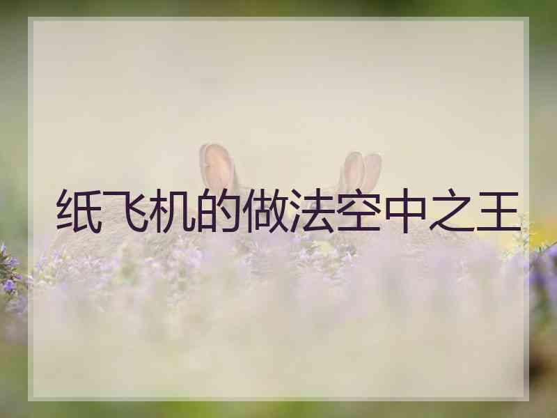 纸飞机的做法空中之王