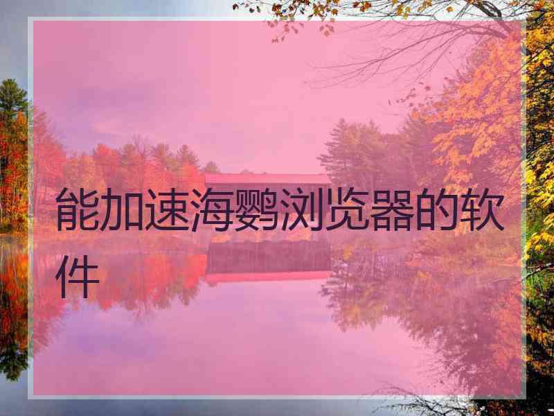 能加速海鹦浏览器的软件