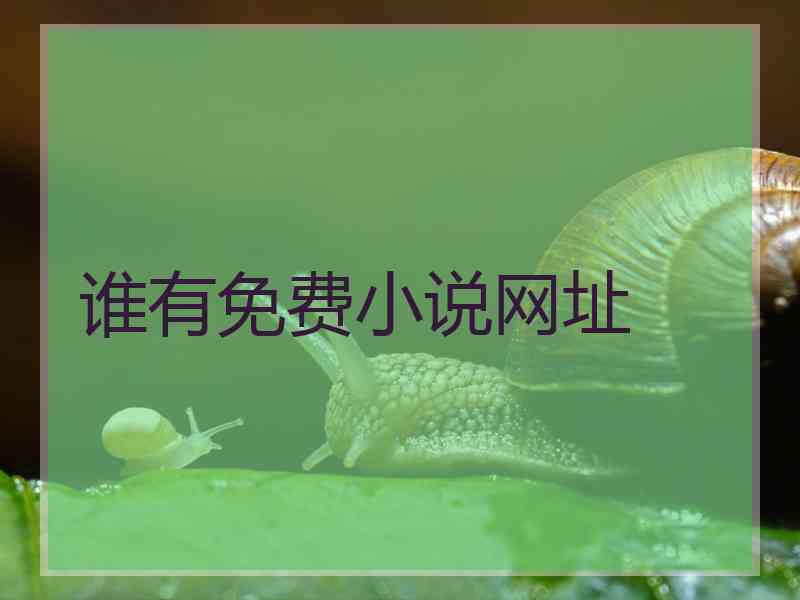 谁有免费小说网址