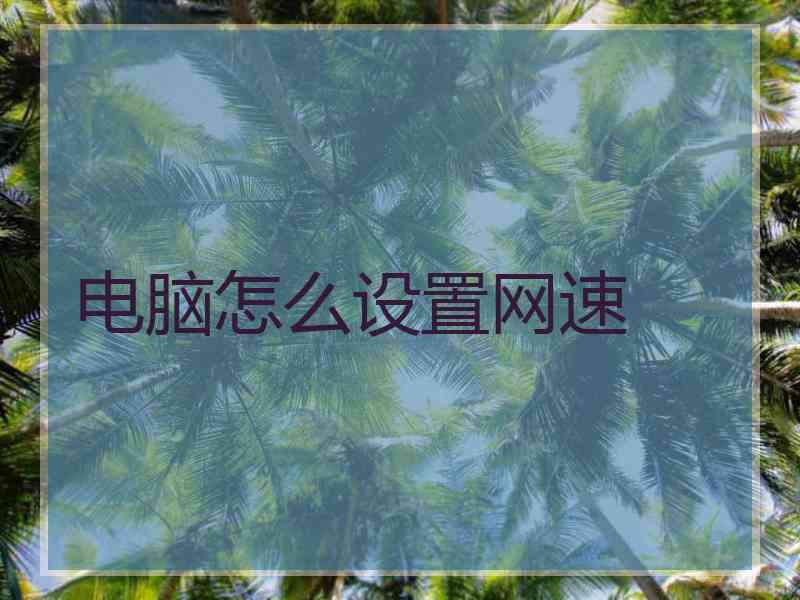 电脑怎么设置网速