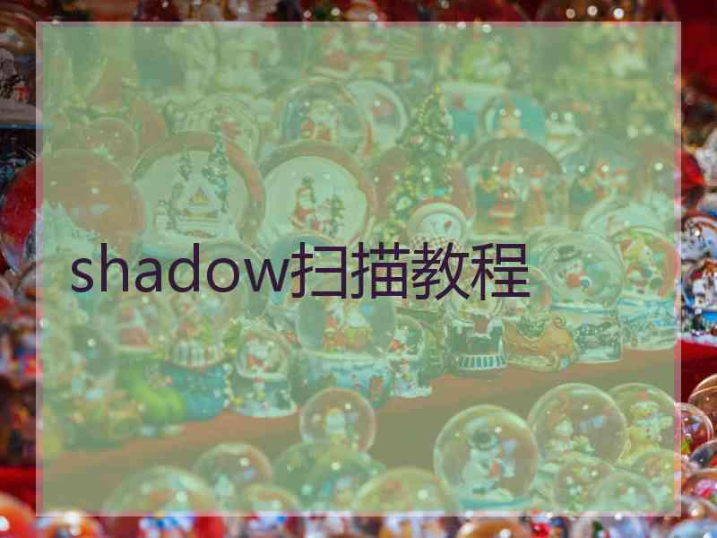 shadow扫描教程