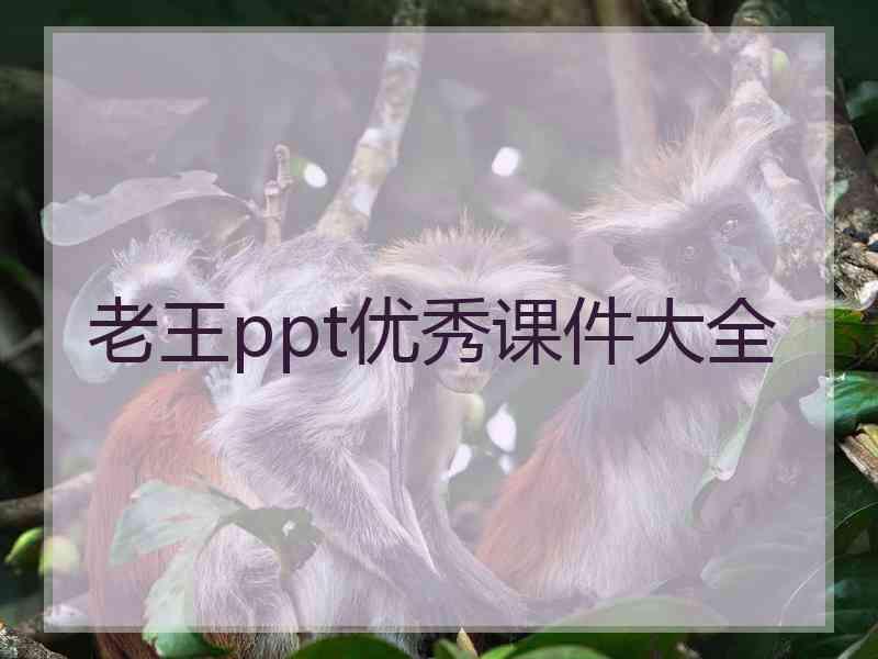老王ppt优秀课件大全