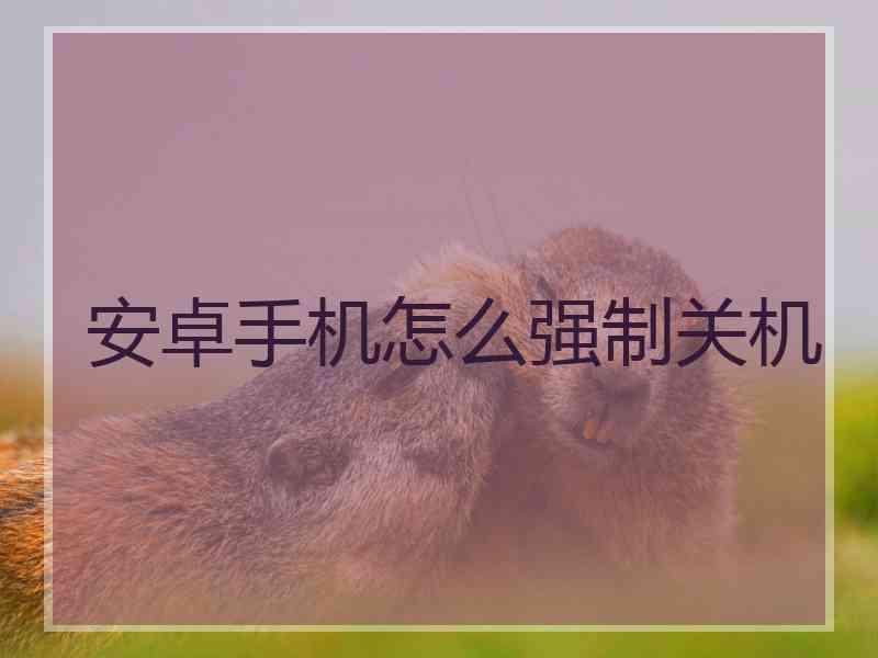安卓手机怎么强制关机