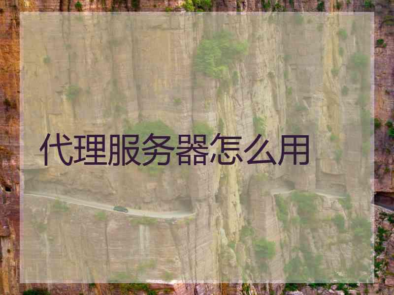 代理服务器怎么用