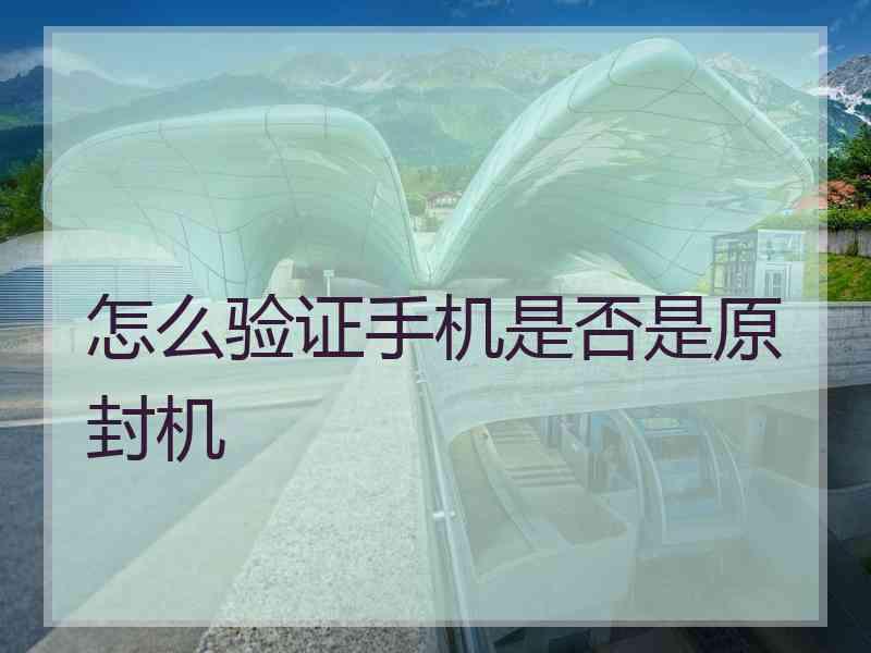 怎么验证手机是否是原封机