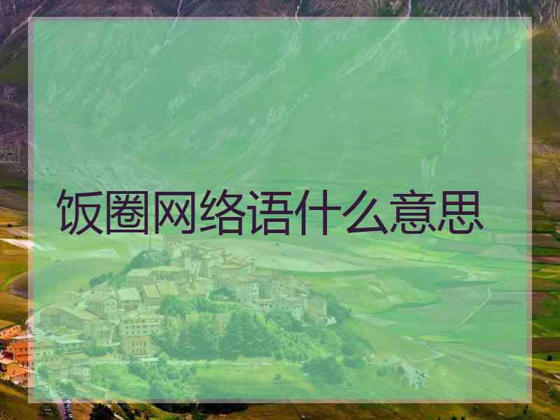 饭圈网络语什么意思