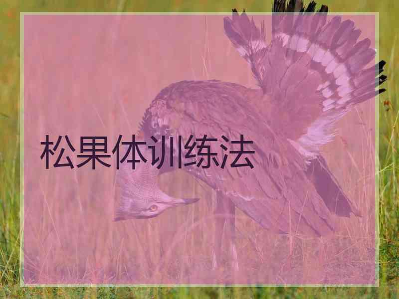 松果体训练法