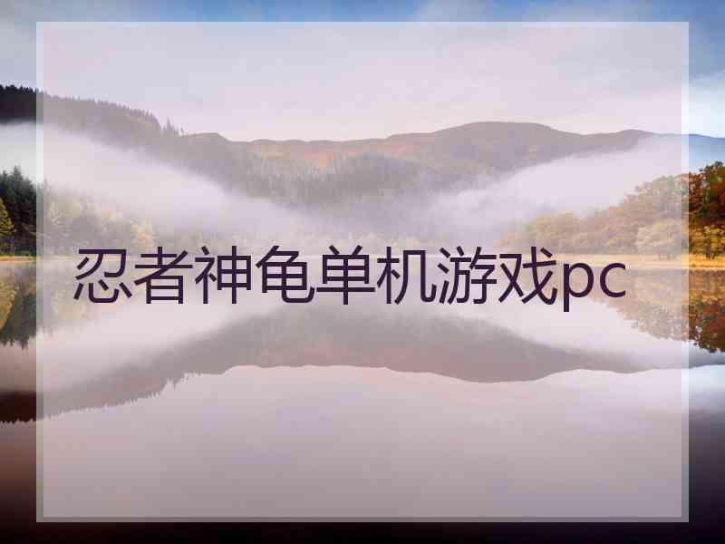 忍者神龟单机游戏pc
