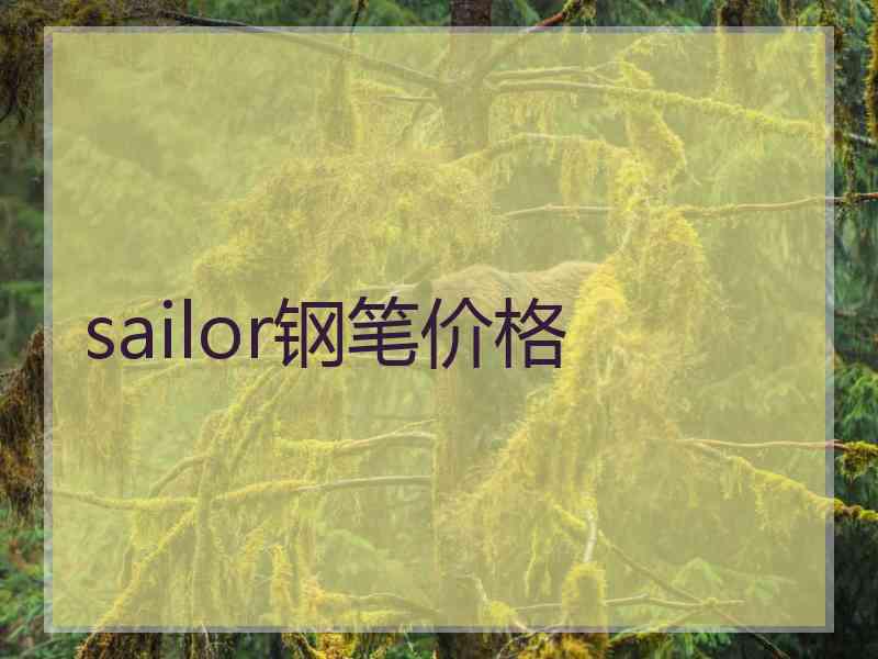 sailor钢笔价格