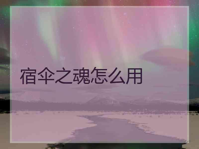 宿伞之魂怎么用