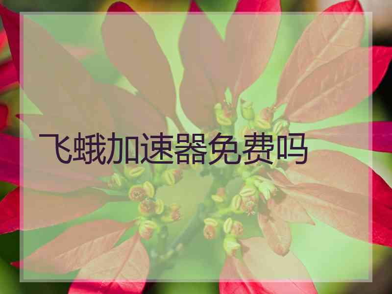 飞蛾加速器免费吗