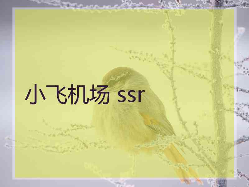 小飞机场 ssr