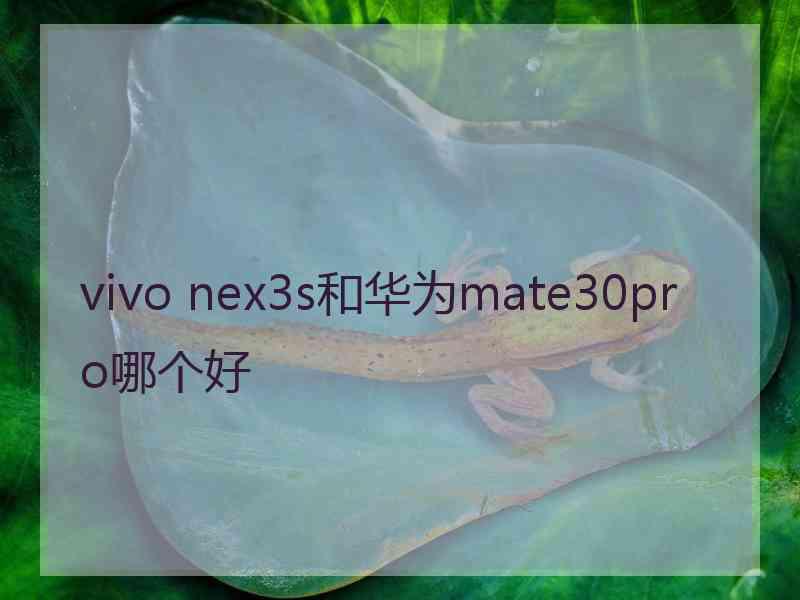 vivo nex3s和华为mate30pro哪个好