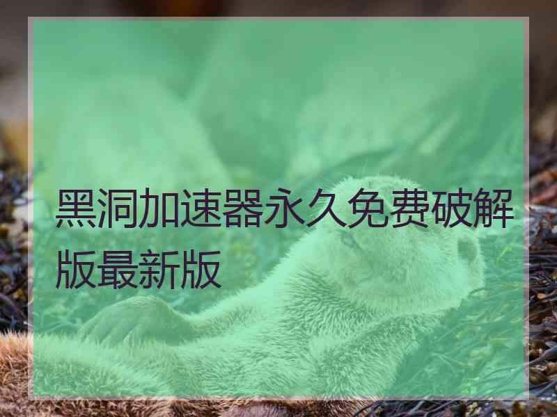 黑洞加速器永久免费破解版最新版