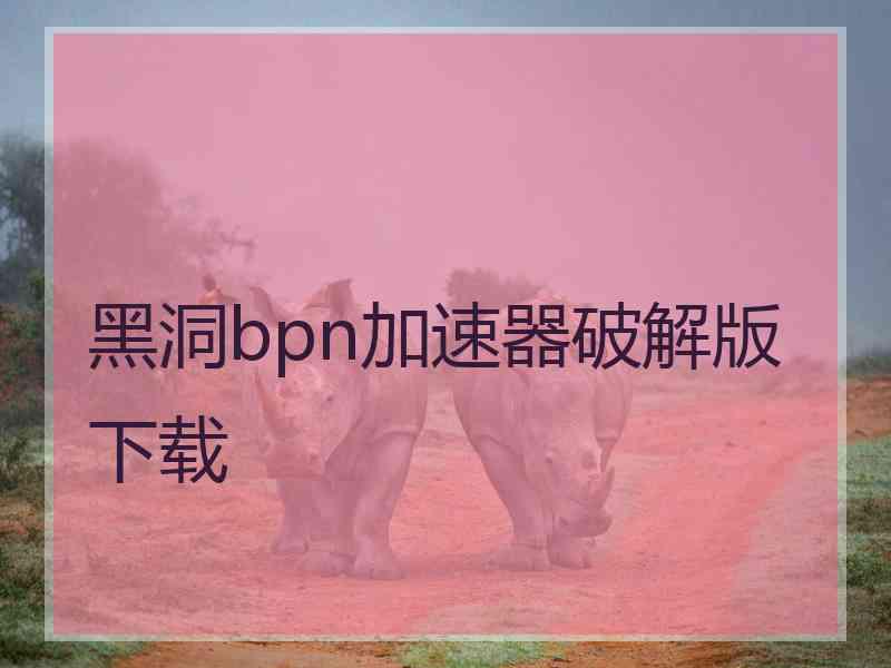 黑洞bpn加速器破解版下载